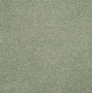 Persuasion Carpet