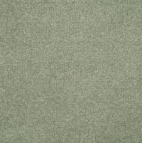 Persuasion Carpet