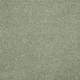 Persuasion Carpet