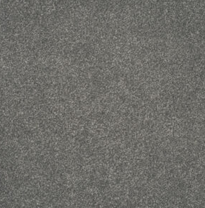 Persuasion Carpet