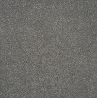 Persuasion Carpet