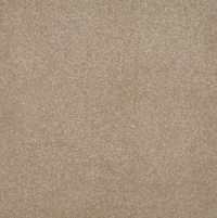 Persuasion Carpet
