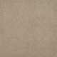 Persuasion Carpet