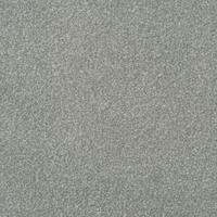 Persuasion Carpet