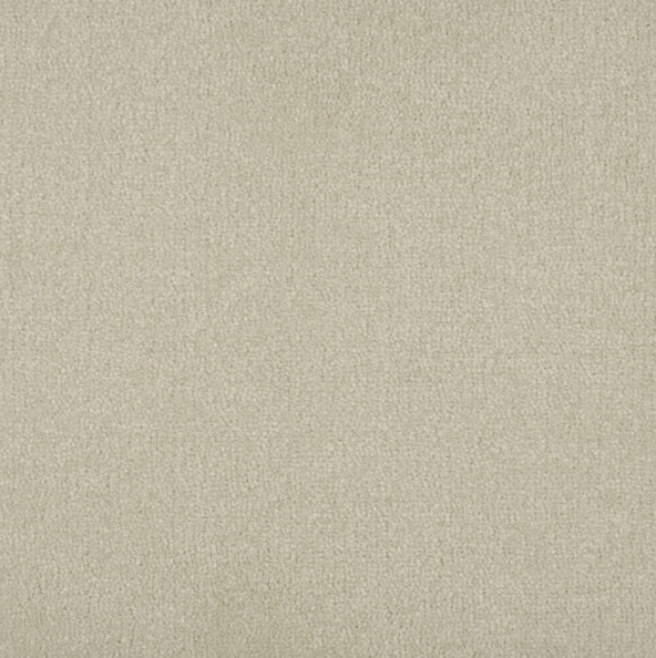 Persuasion Carpet