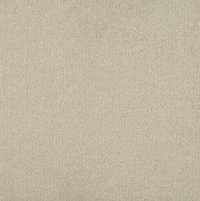 Persuasion Carpet