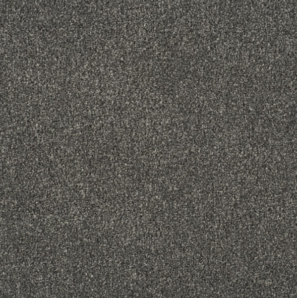 Persuasion Carpet