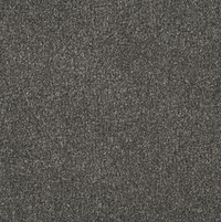 Persuasion Carpet