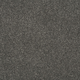 Persuasion Carpet