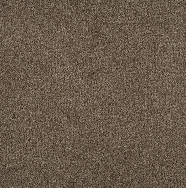 Persuasion Carpet