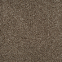 Persuasion Carpet