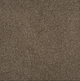 Persuasion Carpet
