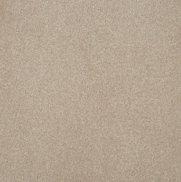 Persuasion Carpet