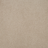Persuasion Carpet