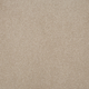 Persuasion Carpet