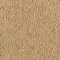 Longford Carpet
