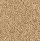 Longford Carpet