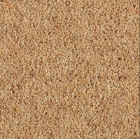 Longford Carpet
