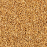Longford Carpet