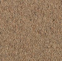 Longford Carpet