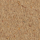 Longford Carpet
