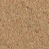 Longford Carpet
