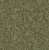 Longford Carpet