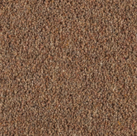 Longford Carpet