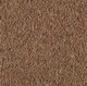 Longford Carpet