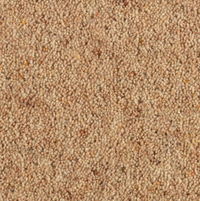 Longford Carpet