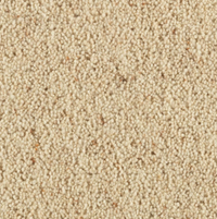Longford Carpet