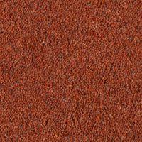 Longford Carpet