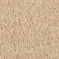 Longford Carpet