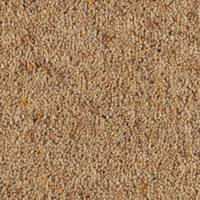 Longford Carpet
