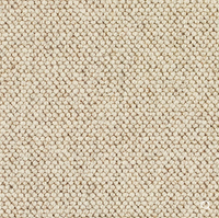 Discovery Carpet