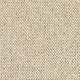 Discovery Carpet