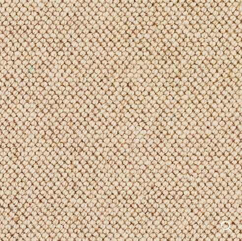 Discovery Carpet