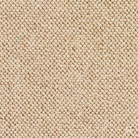 Discovery Carpet