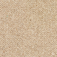 Discovery Carpet