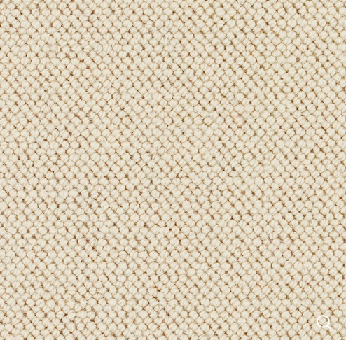 Discovery Carpet