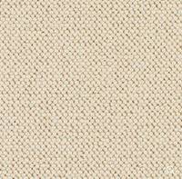 Discovery Carpet