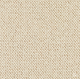 Discovery Carpet