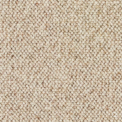 Discovery Carpet