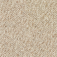 Discovery Carpet