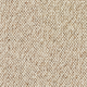 Discovery Carpet