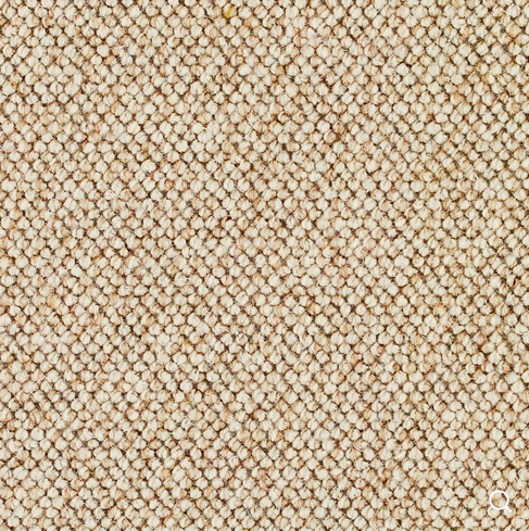 Discovery Carpet