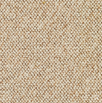 Discovery Carpet