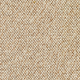 Discovery Carpet