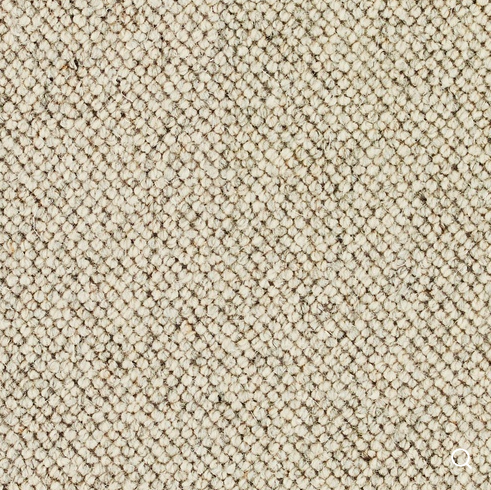 Discovery Carpet