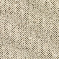 Discovery Carpet